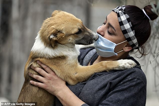 ‘Don’t let anyone pat your dog’: Vet’s urgent warning as scientists research coronavirus link to animals